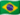 Português